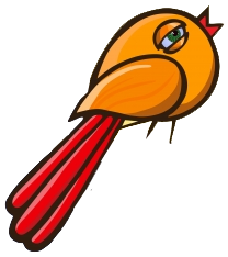 early bird image