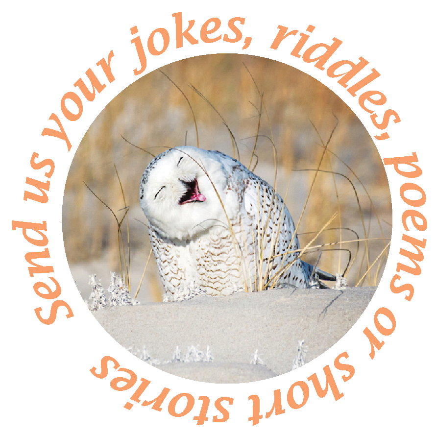 owl-smile